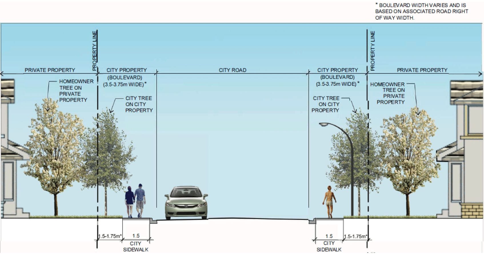 An illustrated cross-section of a residential street showing property lines, city property, private property, and road dimensions. It highlights the placement of city trees on city property and homeowner trees on private property, with a sidewalk and boulevard separating the street from the residential lots. A parked car and pedestrians illustrate scale.