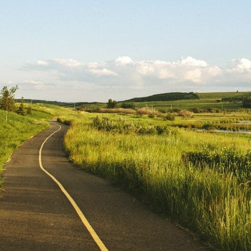 Green space in Silverado
